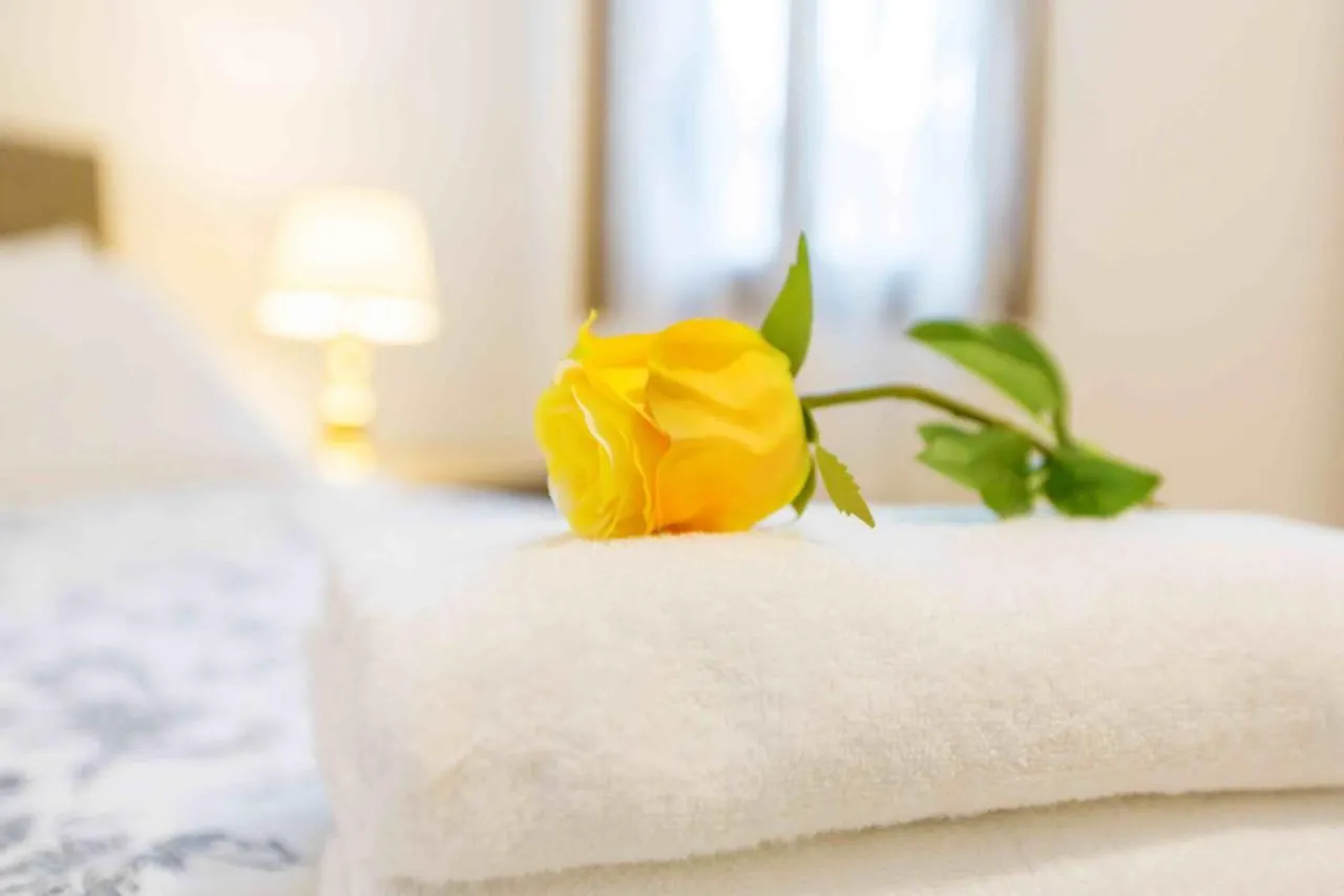 Ca Cicogna Air Conditioning And Fast Wifi, Central Location Apartment 0*, Venice